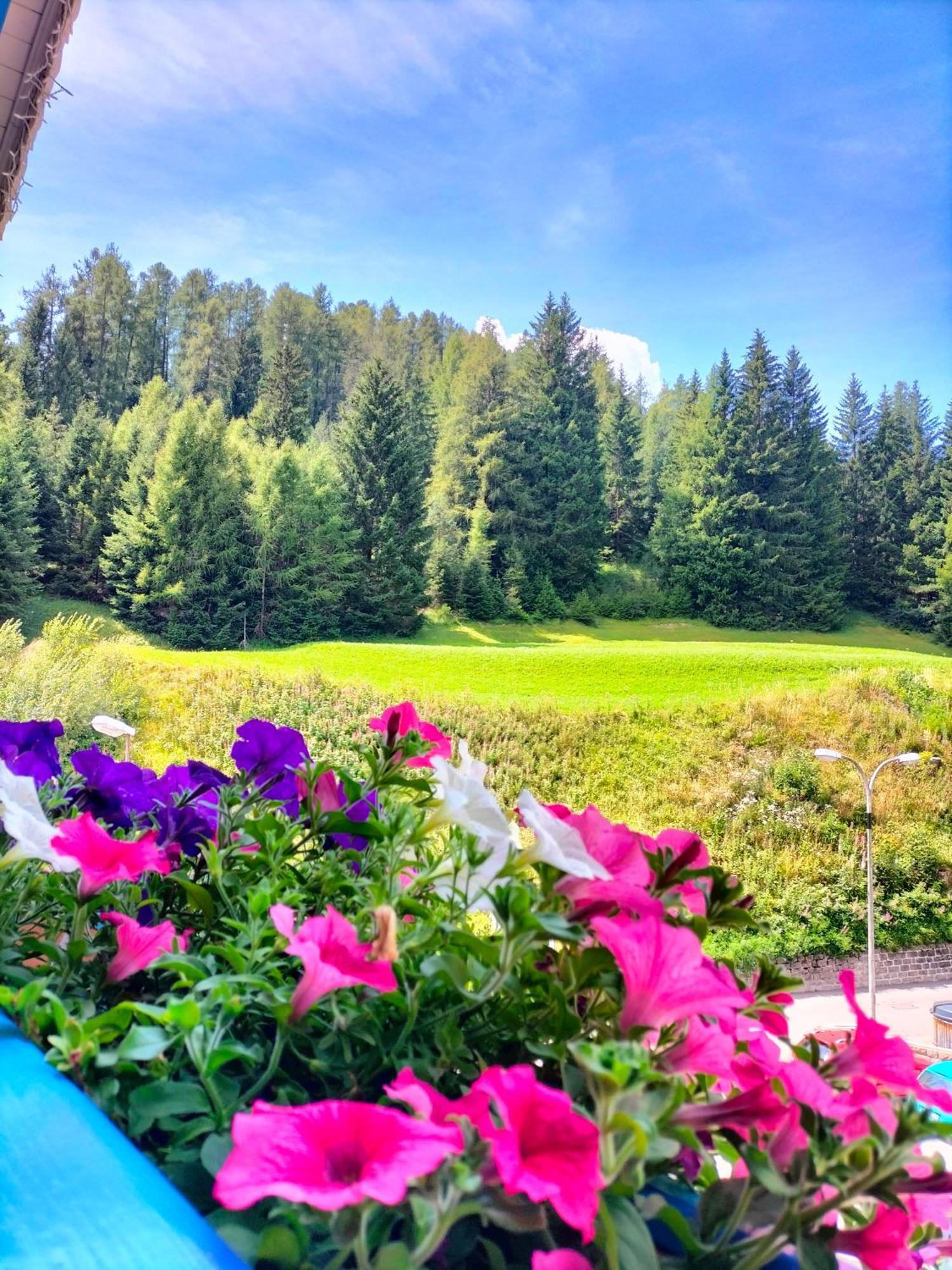 Hotel Vael Vigo di Fassa Dış mekan fotoğraf
